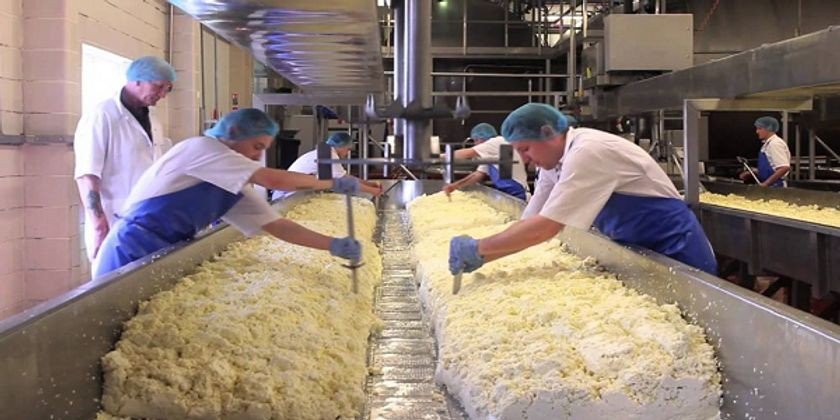 Paneer / Cheese Production Plants